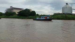 เรือโยง เรือลากจูง ดึงโป๊ะทราย 4 ลำ เดินทางกันแต่เช้าครับ@เรือโยงเจ้าพระยา