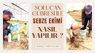 SOLUCAN GÜBRESİ İLE SEBZE FİDESİ NASIL DİKİLİR ? / Talha Uğurluel