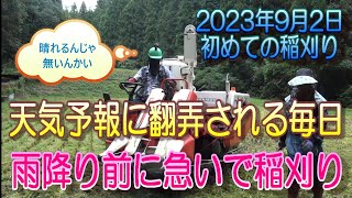 2023年早生の稲刈りが始まりました。天気予報に翻弄されながらようやく稲刈りです。GC215も機嫌がいいみたいでトラブル無く刈れました。7時にアップした動画、間違えてました教えて頂き気が付きました。