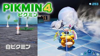 【ピクミン4】とこなぎの浜辺 #1 氷温サウナ 白ピクミン、風雲ダンドリ城 調査率100％ ストーリー攻略【Pikmin 4/Switch】