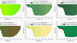 Pearl Lake Algae Simulation (2DV)