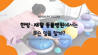 한방재활 동물병원의 일상 VLOG🐾ㅣ부산동물병원ㅣ해운대동물병원ㅣ강아지디스크재활ㅣ큰마음동물메디컬센터ㅣ큰마음한방재활동물병원