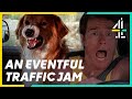How To Keep ENTERTAINED During A TRAFFIC JAM | Malcolm in the Middle