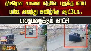 திடீரென சாலை நடுவே புகுந்த நாய்.. பல்டி அடித்து கவிழ்ந்த ஆட்டோ..பதைபதைக்கும் காட்சி | Newstamil24x7