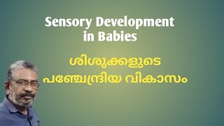 Sensory Development of Babies