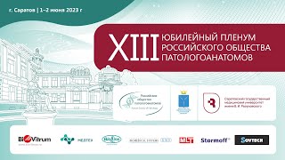 Второй день  XIII Юбилейного Пленума РОП