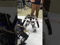 国際ロボット大会【自作二足歩行歩行ロボットバトル】 roboone robotics 【biped robot battle】