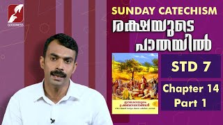 സിറോ മലബാർ കാറ്റിക്കിസം | STD 7 | CHAPTER 14 | PART 1| RAKSHAYUDE PATHAYIL | GOODNESS TV |