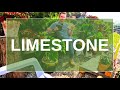 Limestone Paving, the good the bad & the ugly what you need to know for your dream patio!