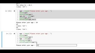 Python Basics - User Input & Type Conversion