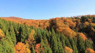 【旅エイター】★紅葉前線『森吉山ゴンドラ①』　秋田県北秋田市・一人旅