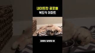 판 레전드 공포썰 [복도식 아파트]