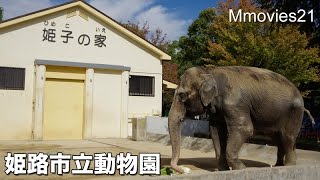 Himeji Castle \u0026 Animals 姫路城と姫路市立動物園