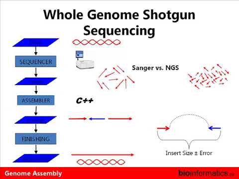 Genome Assembly - YouTube