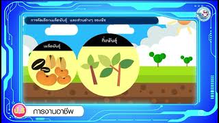 การงานอาชีพ ป.5 : การคัดเลือกเมล็ดพันธุ์ หรือส่วนต่าง ๆ ของพืช : คลังสื่อ พว.