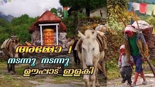 EP #8 - വിചാരിച്ച സമയത്ത് എത്താൻ പറ്റിയില്ല 😓 / Bupsa to Surka