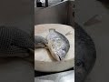 Famous Black Snapper Fish Cutting  By Slice Skill#shorts #short #youtubeshorts