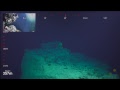 ROV SuBastian Dive 080 - Deep Sea Corals of PIPA