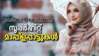 Nonstop Super Hit Mappilapatt | Mappila Pattukal | Malayalam Mappila Songs Old Mappilappattu Nonstop