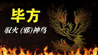 馭火神（邪）鳥，畢方，成於火，也敗於火 |《山海經》番外篇07