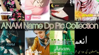 √🤩Anam Name DP 💓||Anam Name WhatsApp Status🥀||Anam Name DP Pic_ images|| Anam Name Dpz For Girls