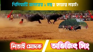 গিদিঘাটি আসরের ১ নম্বর কাড়ার লড়াই। নিতাই মোদক 🆚 অভিজিৎ সিং FULL VIDEO