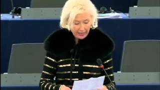 Kristiina OJULAND 10 Dec 2013 plenary speech on External instruments