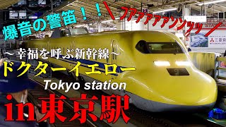 【爆音警笛！】東京駅にて幸福を呼ぶ新幹線\