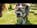 The Ode to Dennis Song - A MINECRAFT MOVIE Clip (2025) Jack Black