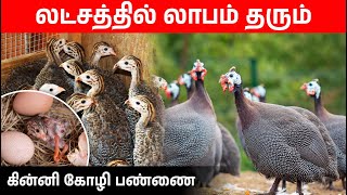 மாதம் 50,000 தரும் கின்னிக் கோழி பண்ணை | கின்னி கோழி வளர்ப்பில் லாபம் இருக்கிறதா?