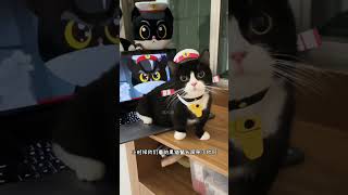 养过奶牛喵的都知道，它就是个神经病！ #猫 #奶牛猫 #动物解说 #搞笑