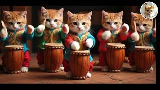 Enchanting Thailand’s Dancing Cats! 🐱🎭 Mesmerizing Moves \u0026 Music! 🎶😂\