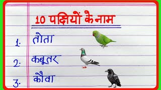 10 birds name in hindi || pakshiyon ke naam || 10 पक्षियों के नाम || 10 birds name || bird name