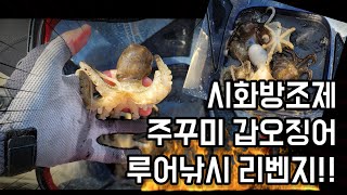 시화방조제로 쭈꾸미 갑오징어 루어낚시를 또 가면 생기는일!! 시방쭈꾸미