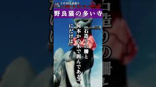 【不思議な話】野良猫の多い寺  #不思議な話 #怖い話 #shorts