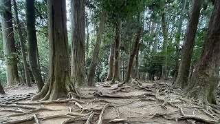 2025年 立春 レイキ発祥の地。鞍馬山の大杉大権現付近からレイキを送らせて頂きます！！