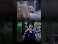 第一眼就已经注定了和小狗的羁绊 谭松韵 再见李可乐｜the bond with the puppy was already destined at the first sight seventan