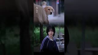 第一眼就已经注定了和小狗的羁绊#谭松韵#再见李可乐｜The bond with the puppy was already destined at the first sight#seventan