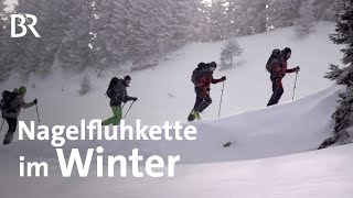 Natur unter Druck: Die Nagelfluhkette im Winter | Zwischen Spessart und Karwendel | BR