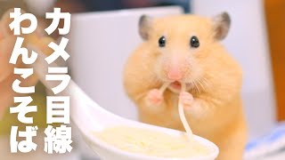 はむこVSわんこそば20杯！完食なるか？No.136