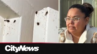 Mom's concerns over cockroach infestation reach the steps of the B.C. Legislative Assembly