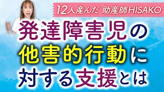 発達障害児の他害的行動に対する支援とは