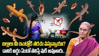 బల్లులు మీ ఇంట్లోకి తరచు వస్తున్నాయా..? || Lizards At Home || Anantha Lakshmi || iDream Devotional