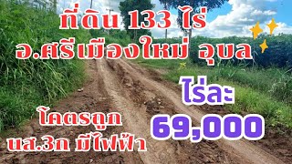 ขายที่ดิน แปลงใหญ่ นส.3ก. 133 ไร่ ต.คำไหล อ.ศรีเมืองใหม่ จ.อุบล ขายไร่ละ 69,000 บาท