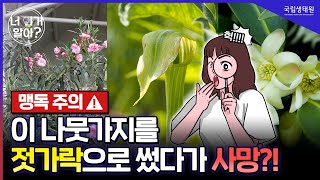 [너 이거 알아?] 사람을 죽이는 식물의 맹독, 사람을 살릴 수도 있다고요?