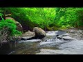 nature sounds water sounds relaxation fresh green babble 2