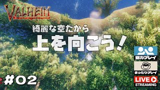 02 - 絶望感Maxでも見上げれば綺麗な空がある。みんなで上を向いて歩こう！ 【ワイがや協力プレイ】【まったりライブ配信】