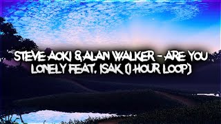 Steve Aoki And Alan Walker - Are You Lonely Feat Isak 1 Hour
