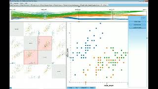 BivariateViewer - Scatterplot Matrix Navigation (english)