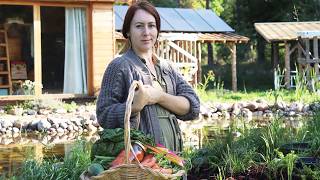 I Coudn't afford off-grid living... until I learned This